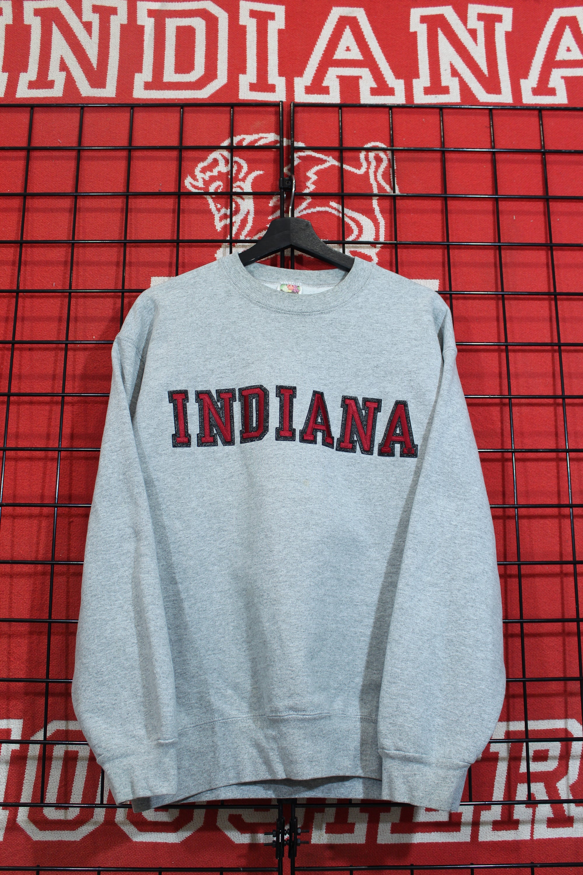 iu04036