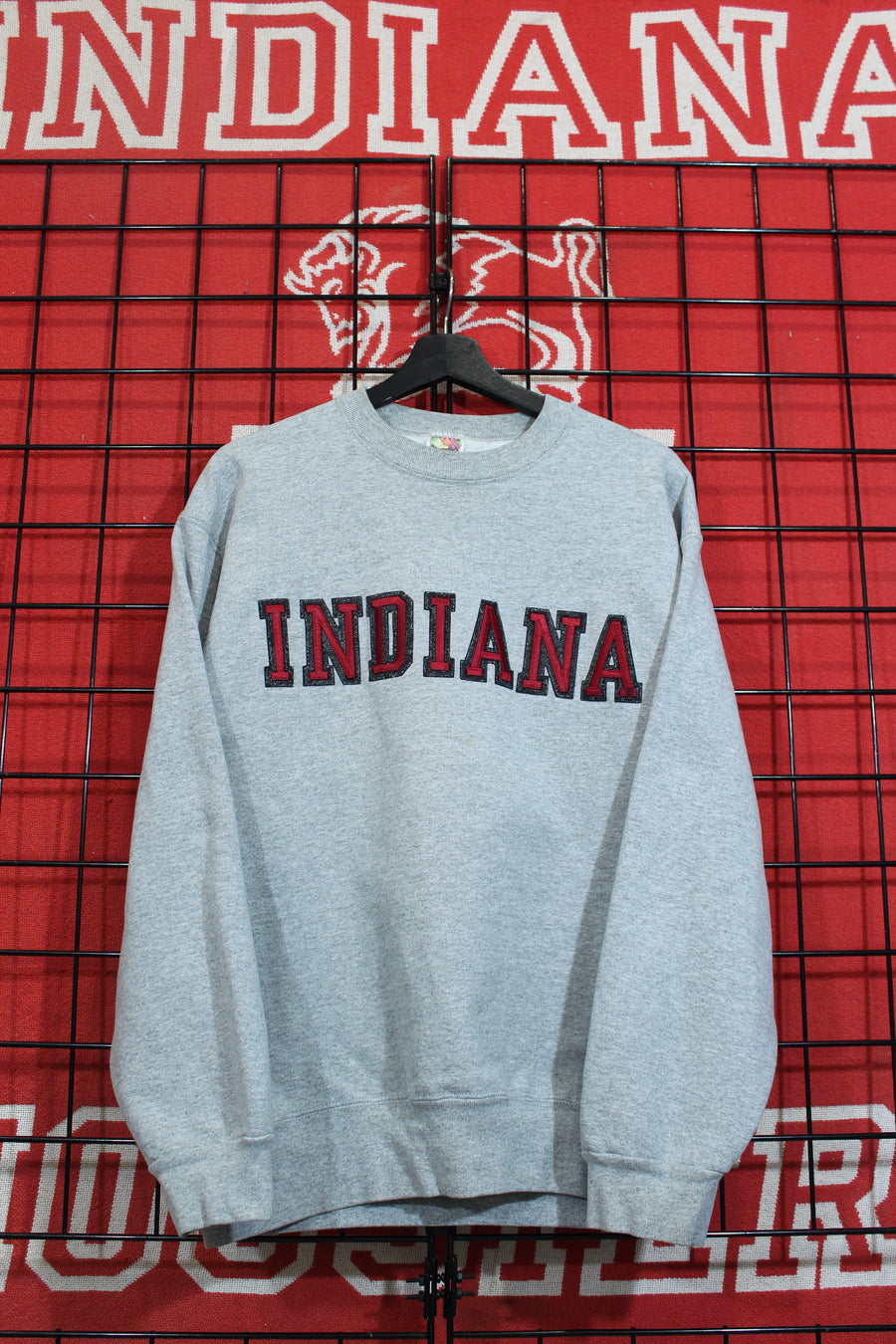 iu04036