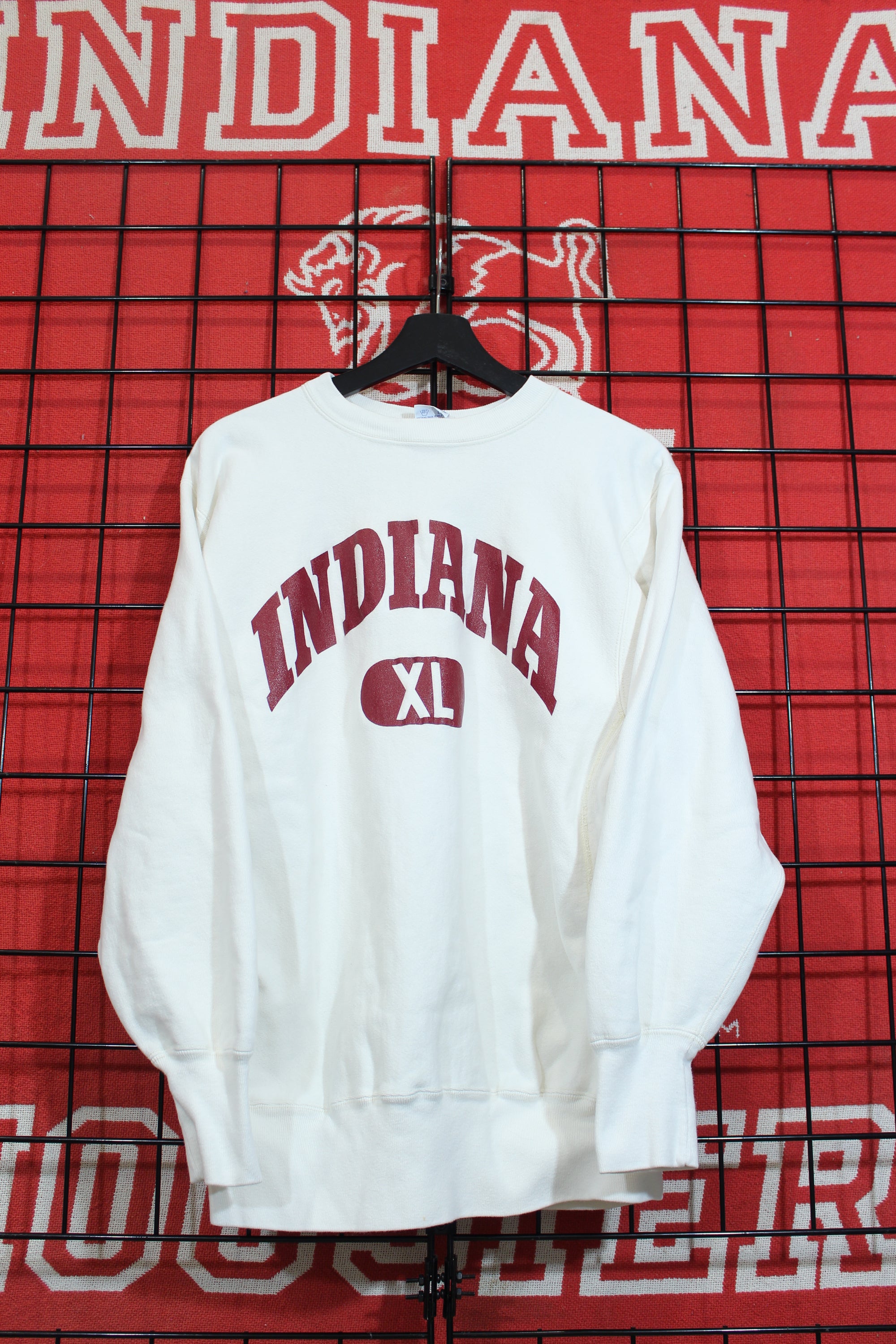 iu04079