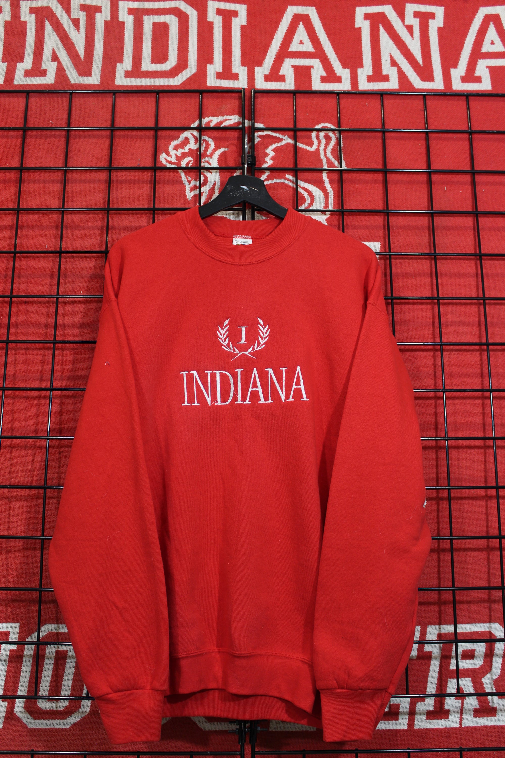 iu04041