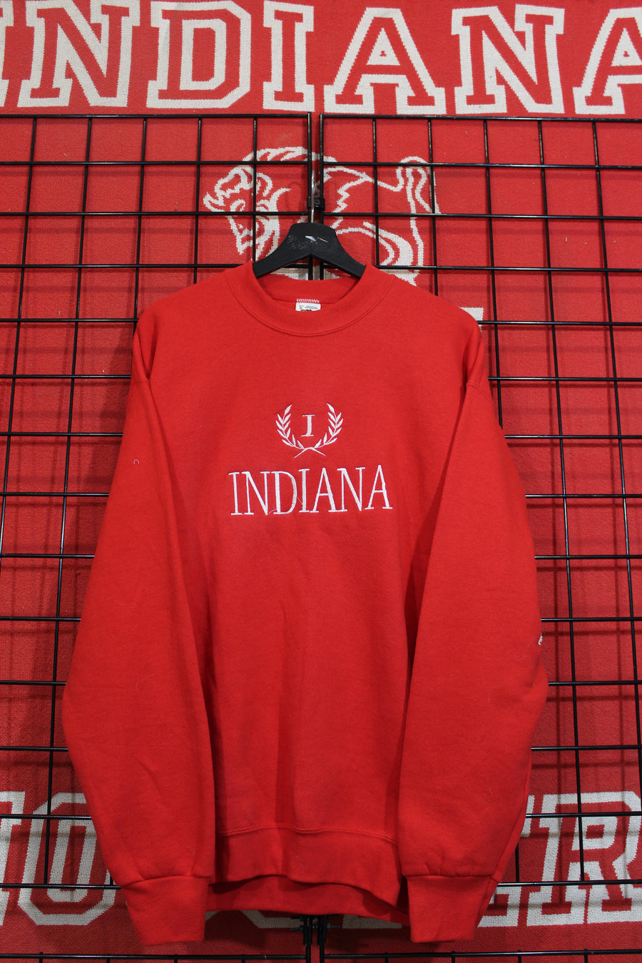 iu04041