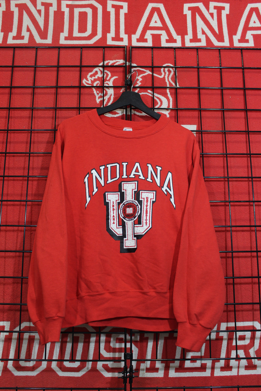 iu04059