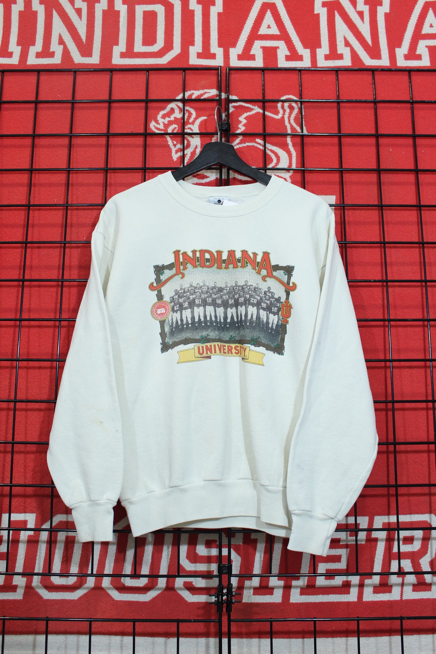 iu04083