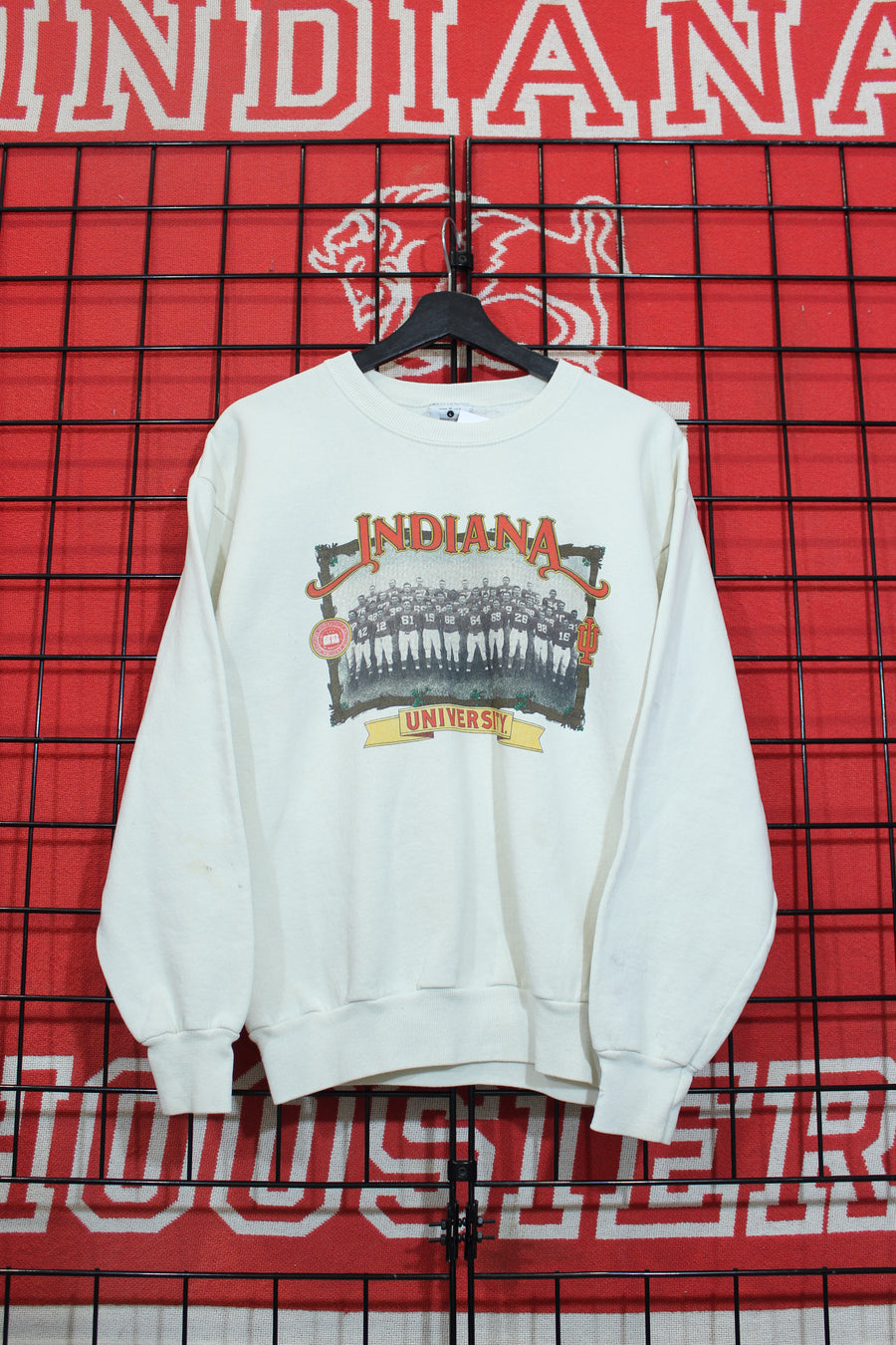iu04083