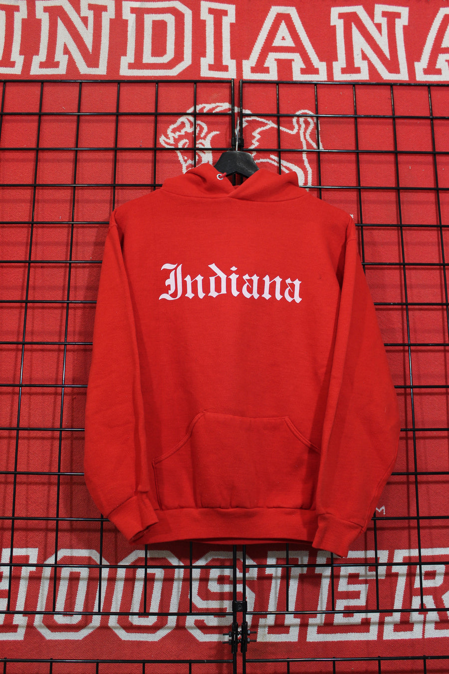 iu04013