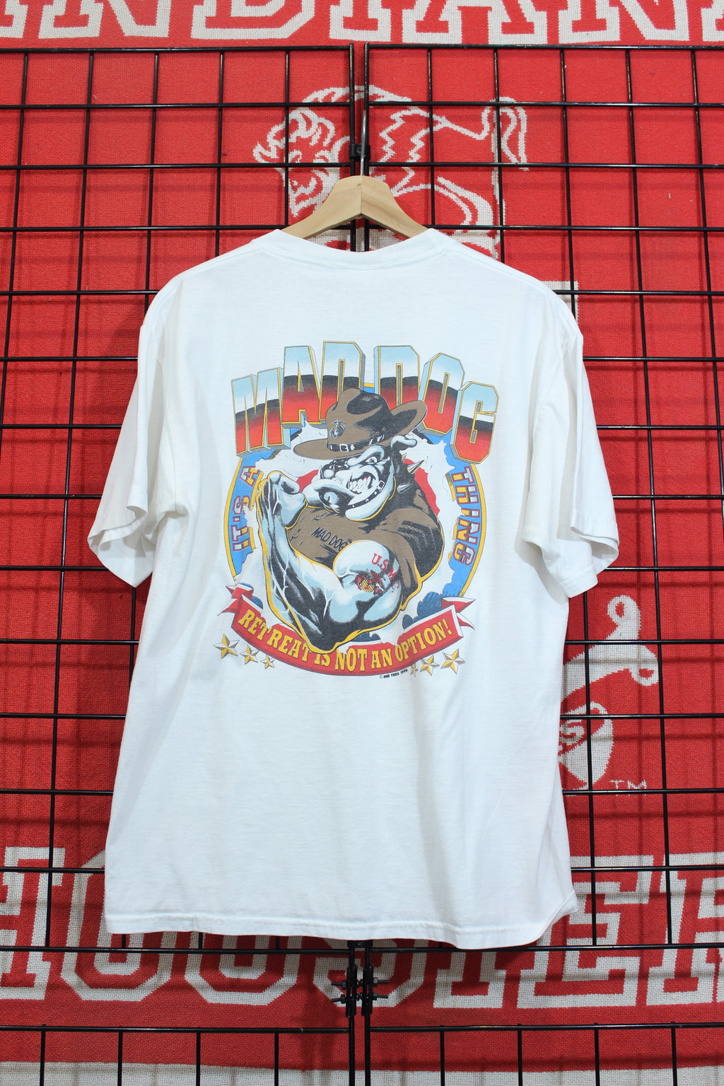 20061