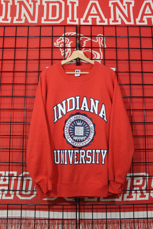 iu309