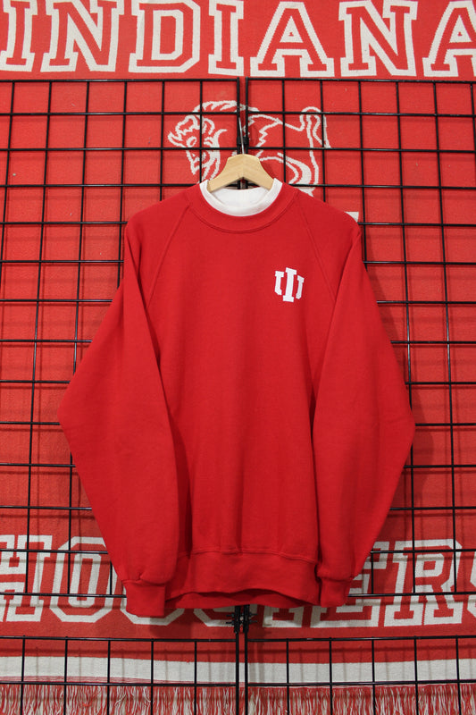 iu313