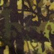 camo velour shorts in griffy woods