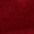 velour shorts in crimson