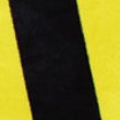 dortmund velour shorts (home)