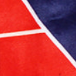 psg velour shorts (home)