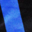 inter milan velour shorts (home)