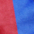 fc barcelona velour shorts (home)