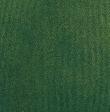 vintage faded hoodie in chlorophyll