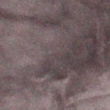 velour sweatpants in cocoa butter