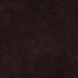velour shorts in espresso