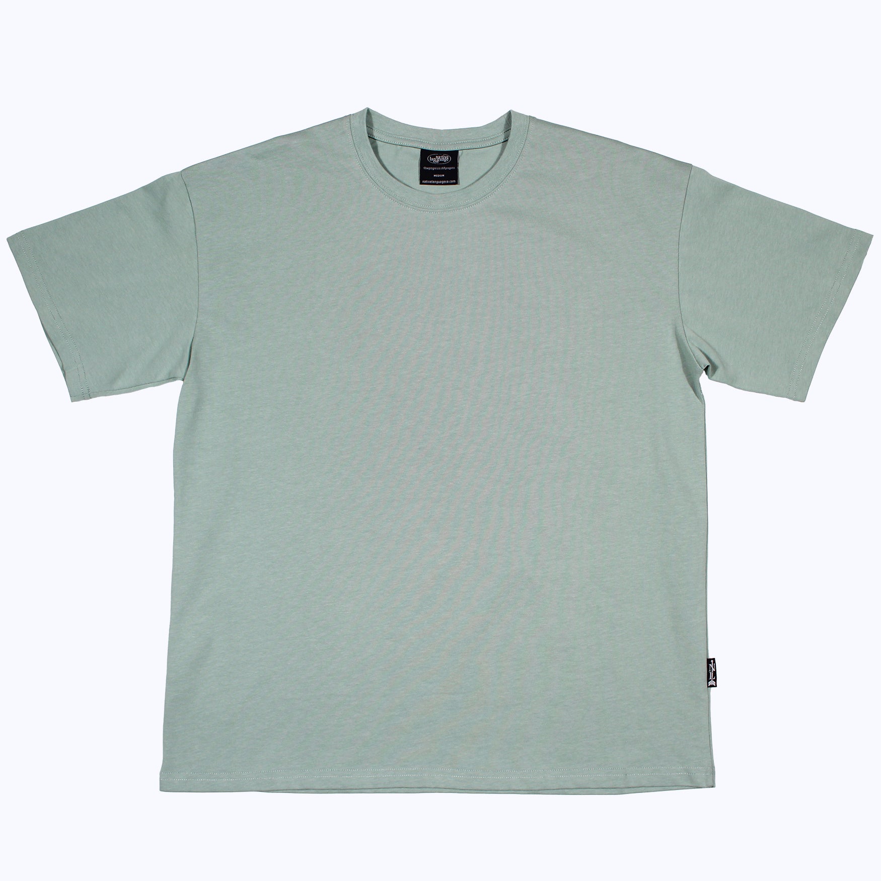 heavyweight blank tee in succulent
