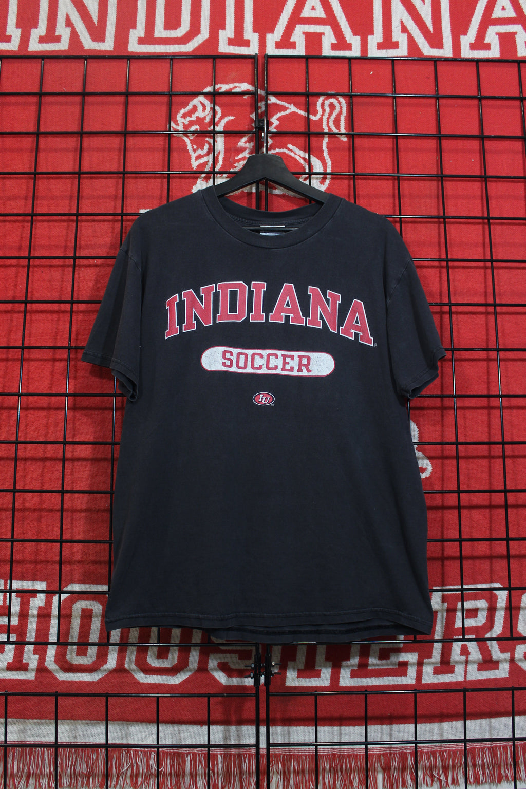 iu0726181a.jpg
