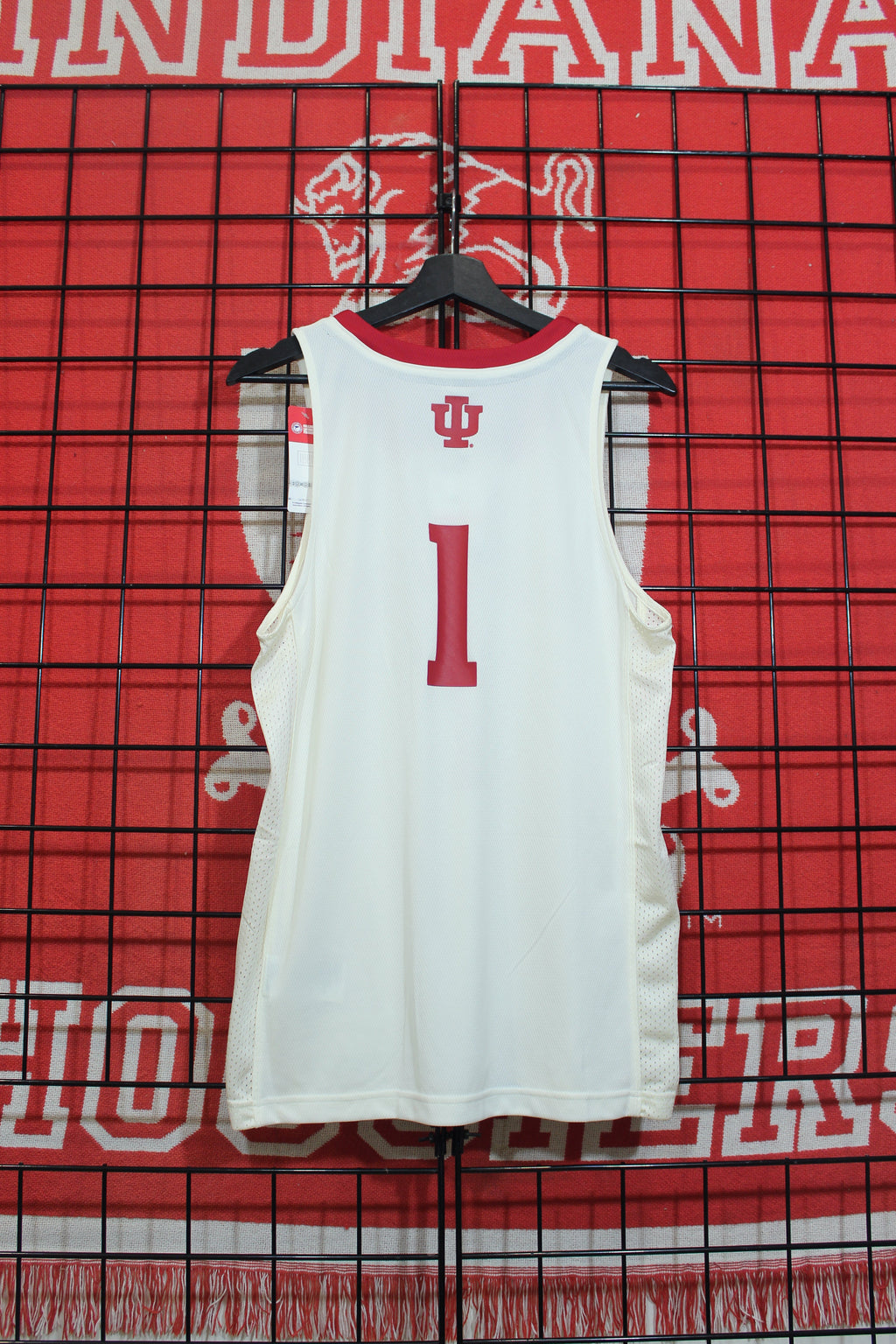 iu0726266b.jpg