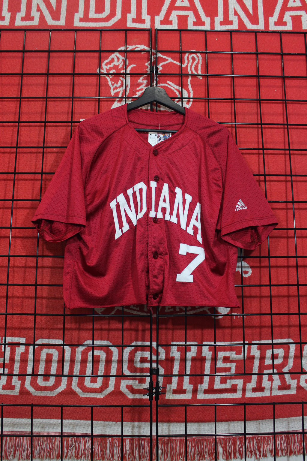 iu0826147a.jpg