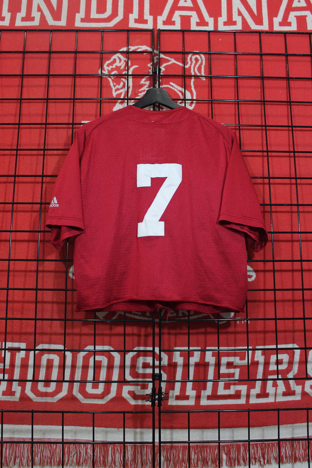 iu0826147b.jpg