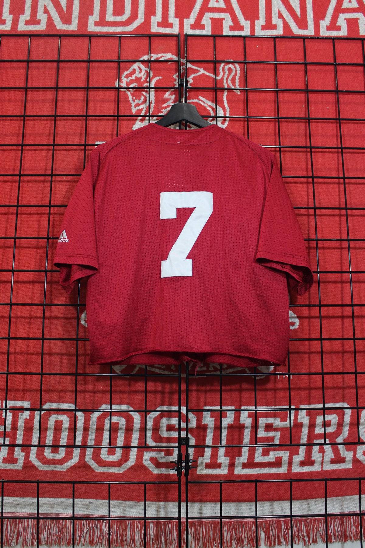 iu0826147b.jpg