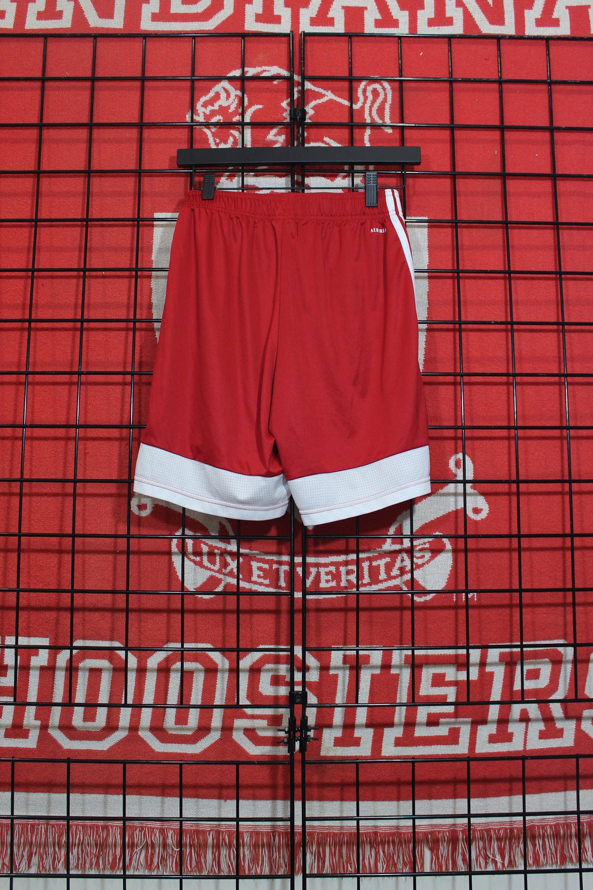 iu0926045b.jpg