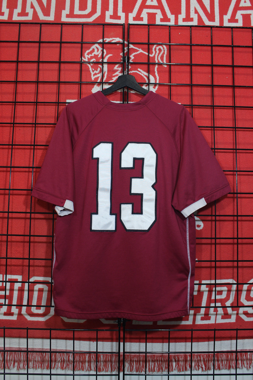 iu1026004b.jpg