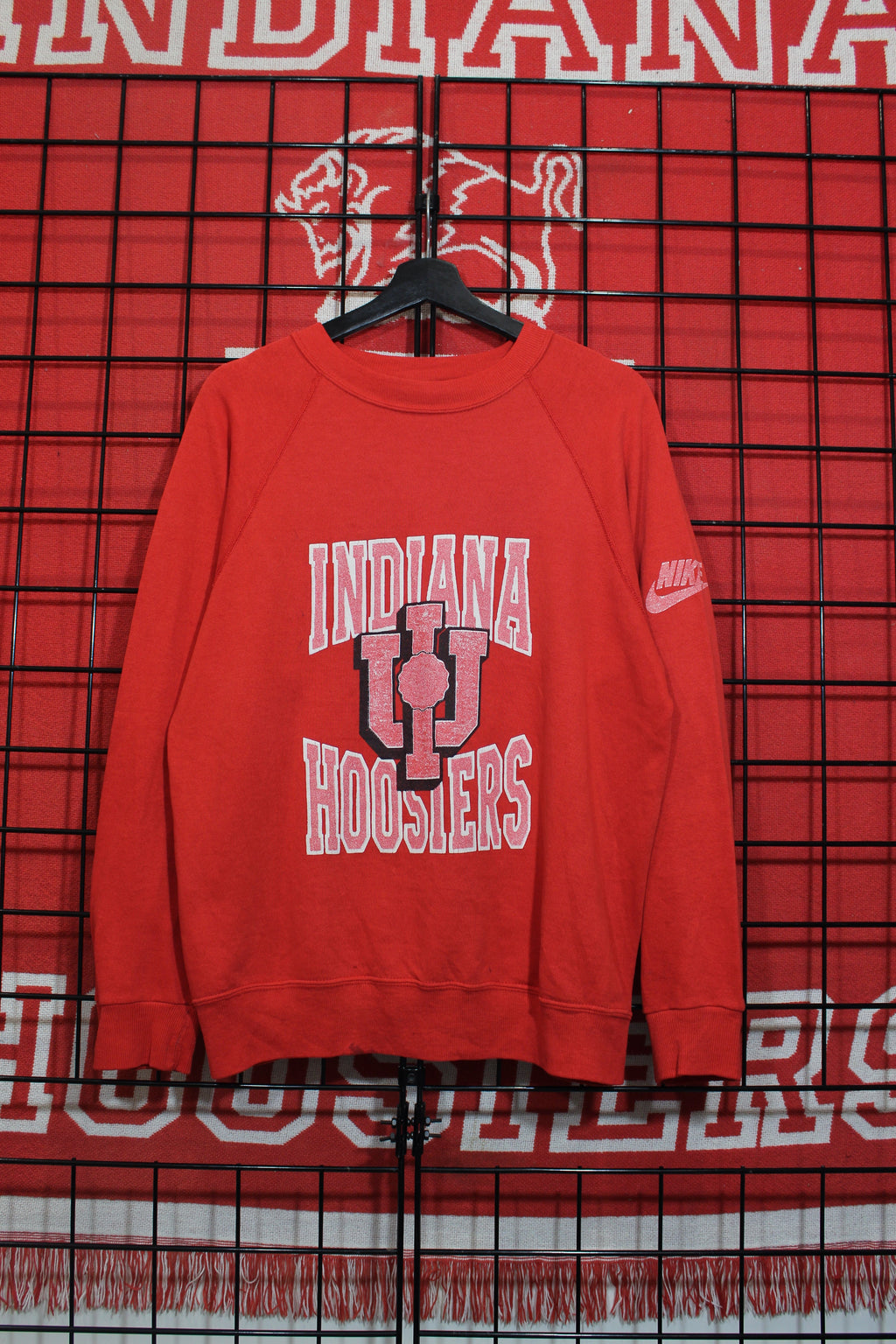 iu1026013a.jpg
