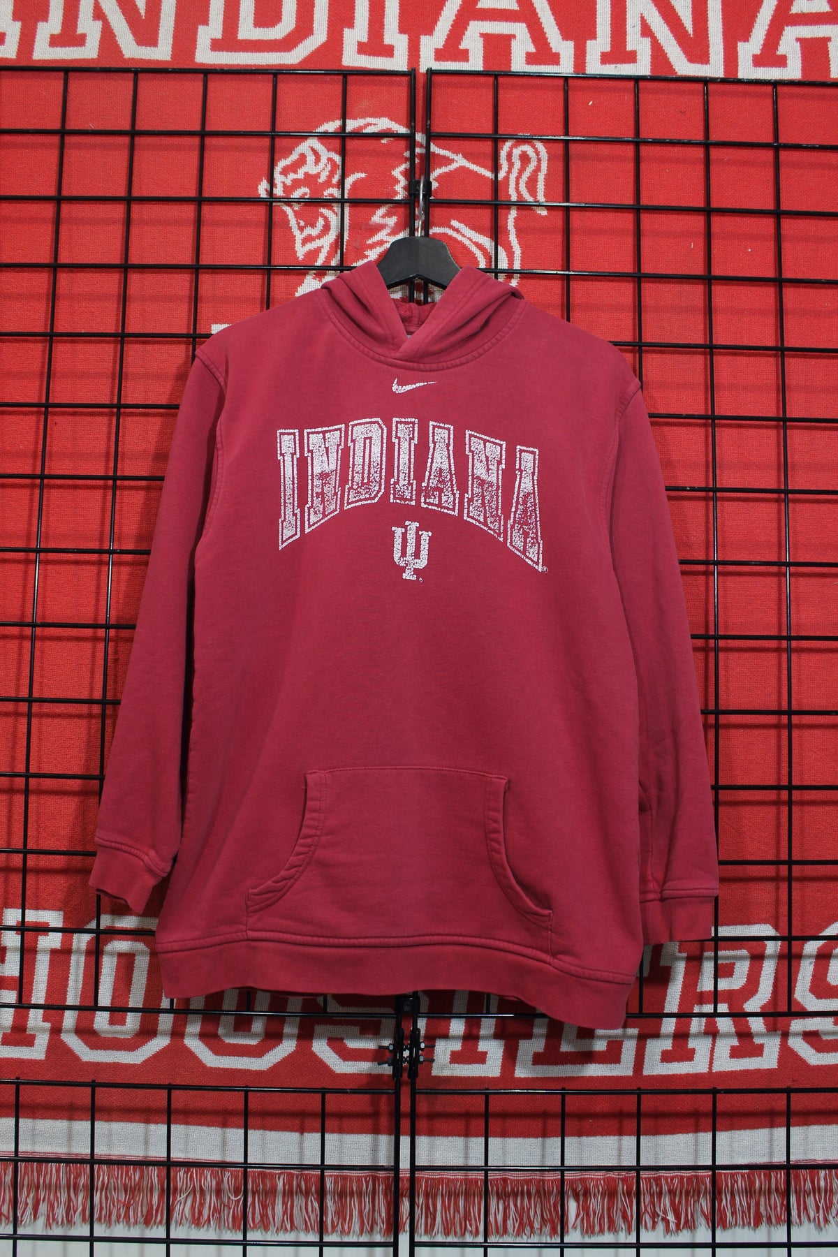 iu1026029a.jpg