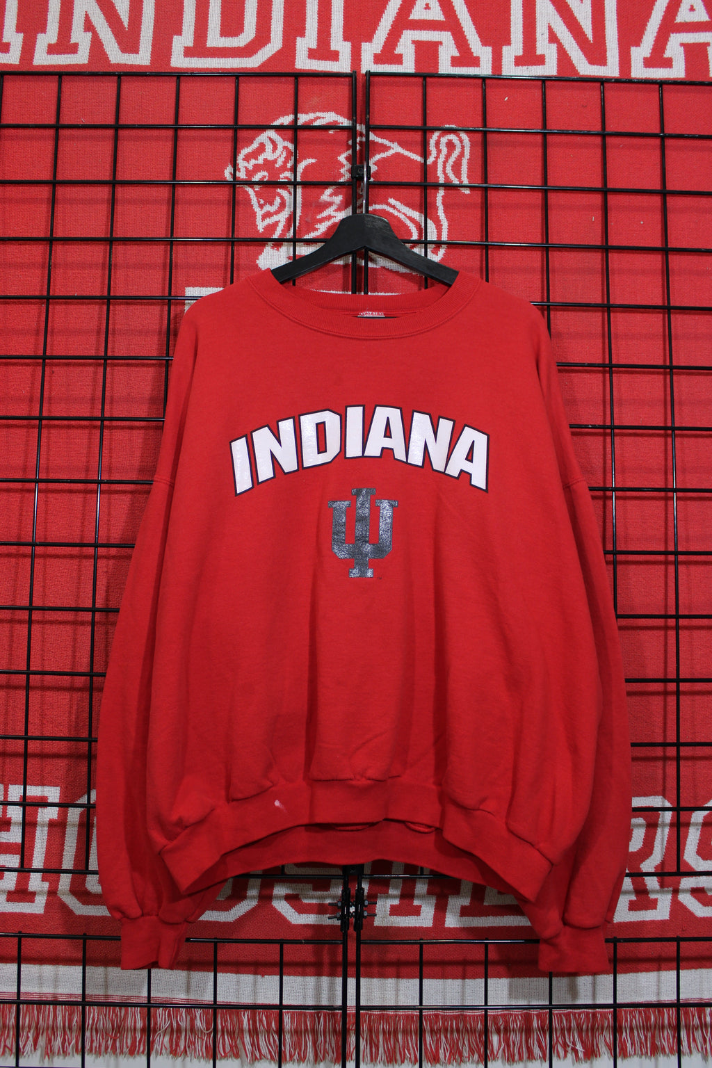 iu1026070a.jpg