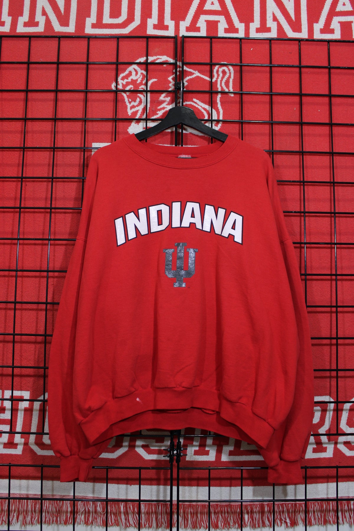 iu1026070a.jpg