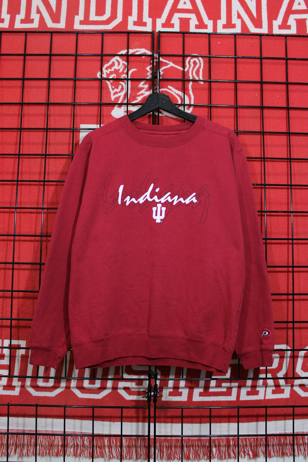 iu1026071a.jpg