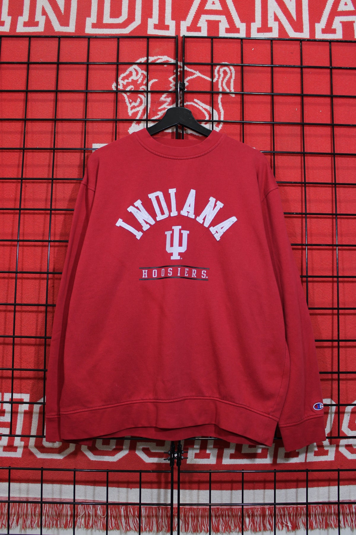 iu1026083a.jpg