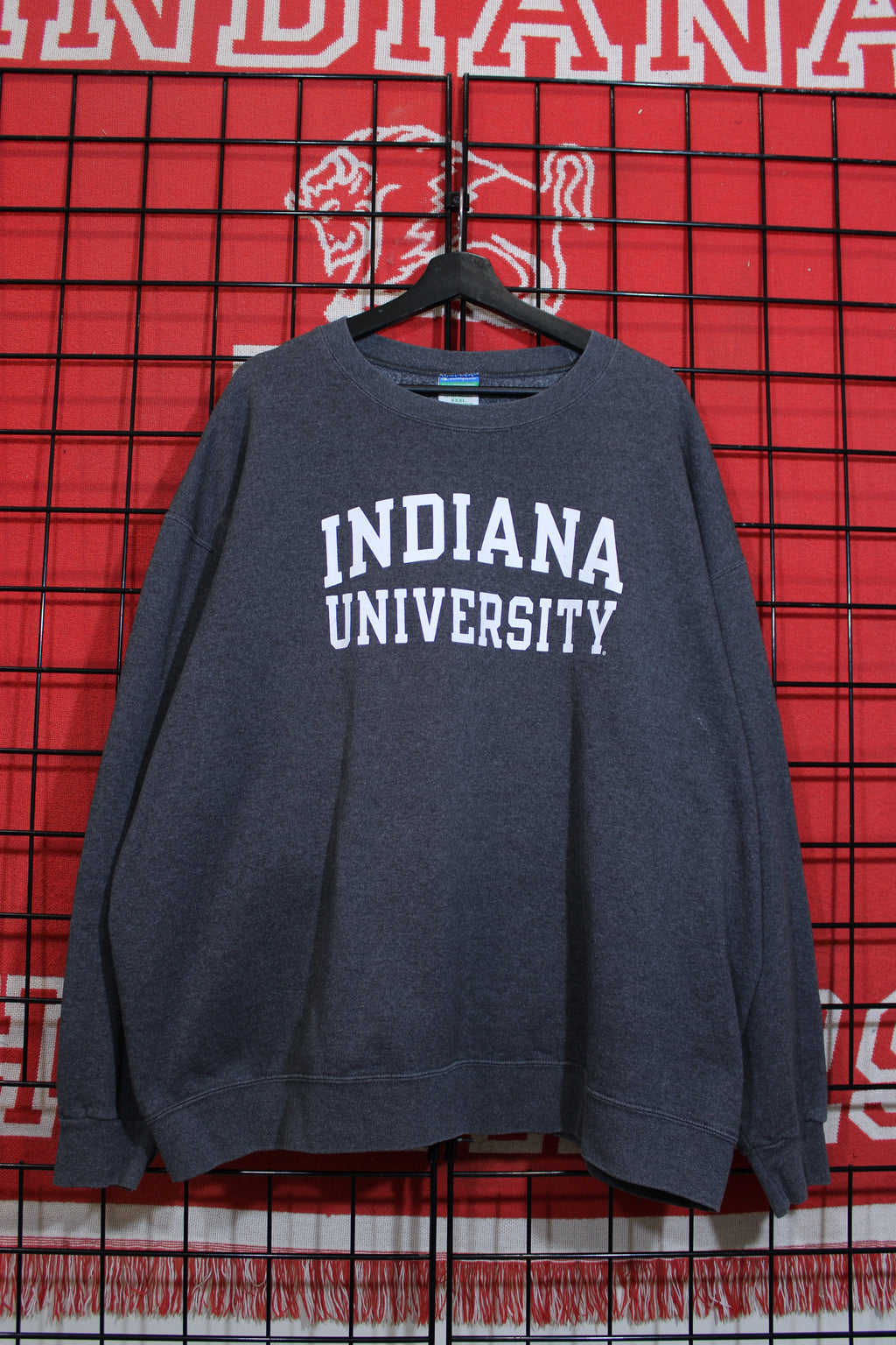 iu1026101a.jpg
