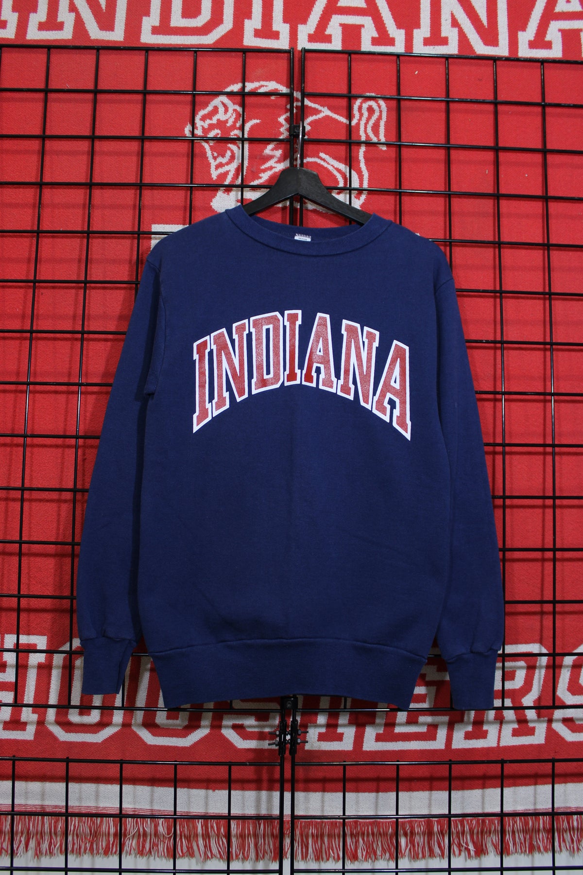 iu1026102a.jpg