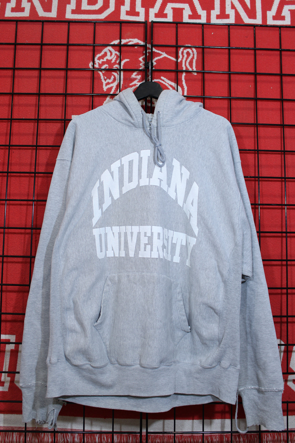 iu1026110a.jpg