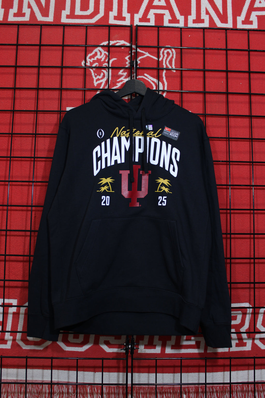 iu1026111a.jpg