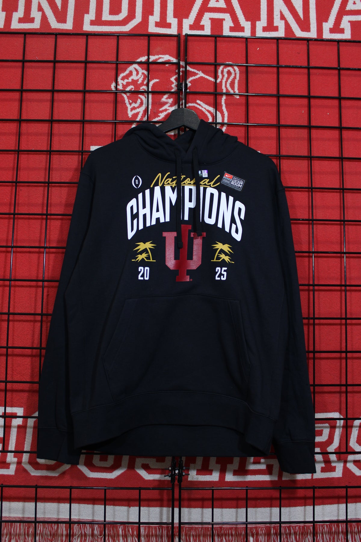 iu1026111a.jpg