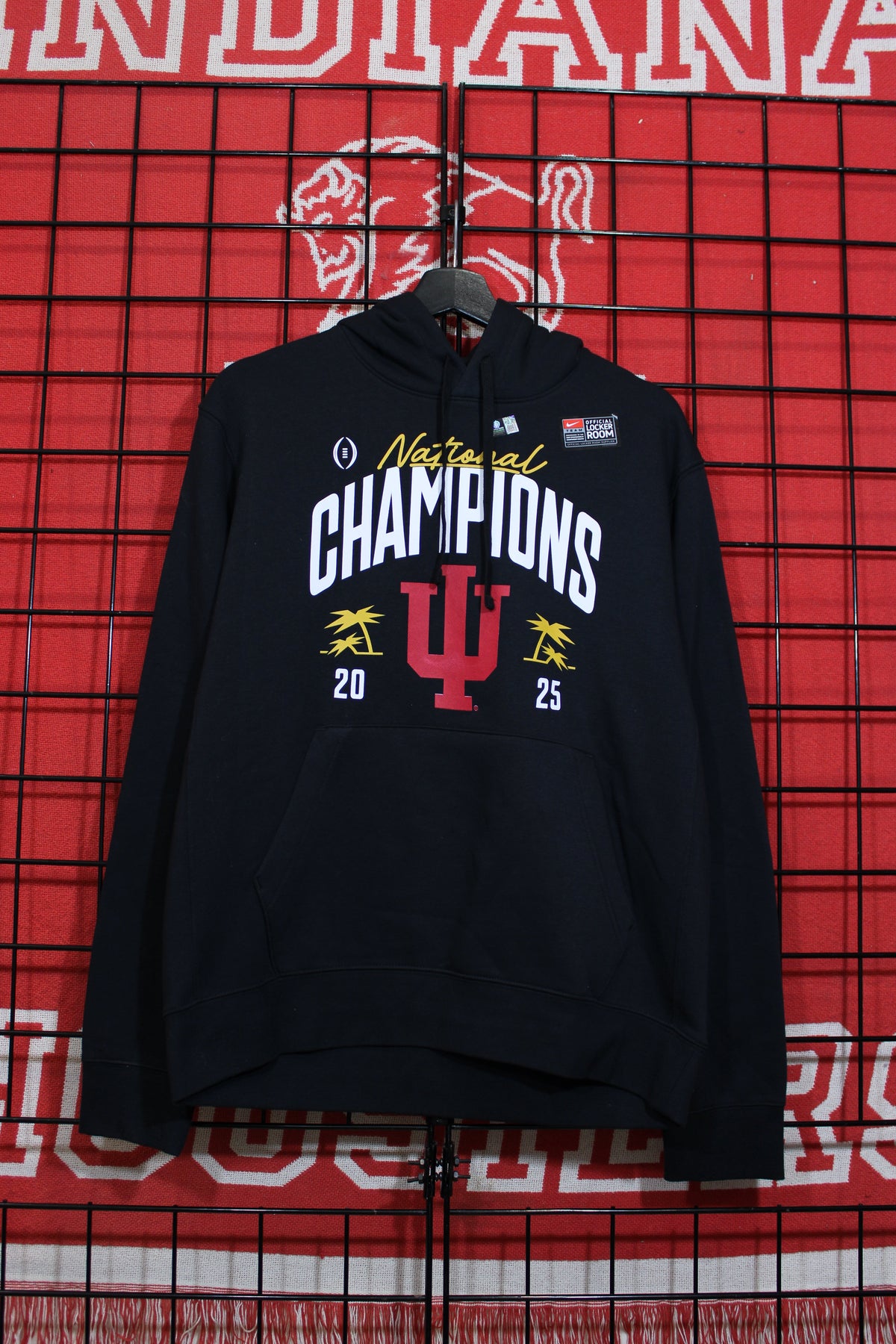 iu1026112a.jpg
