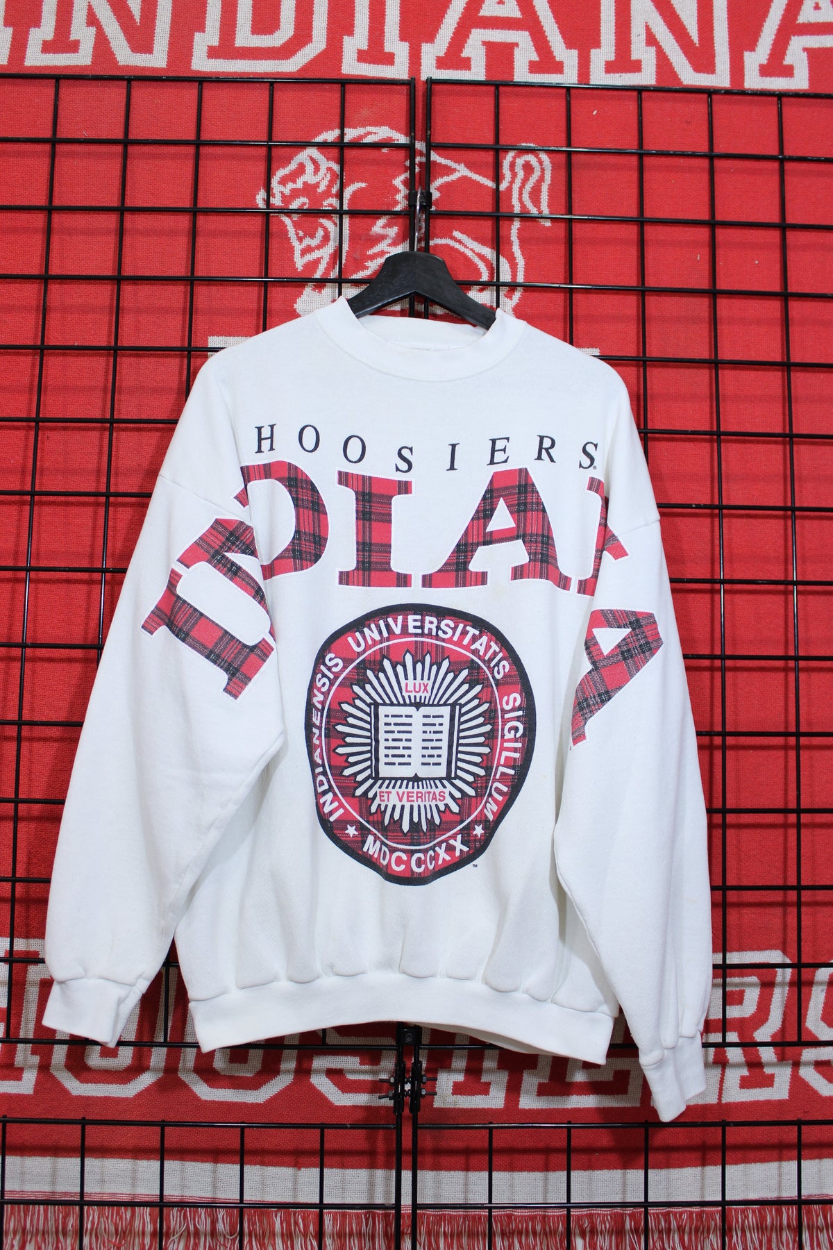 iu1026120a.jpg