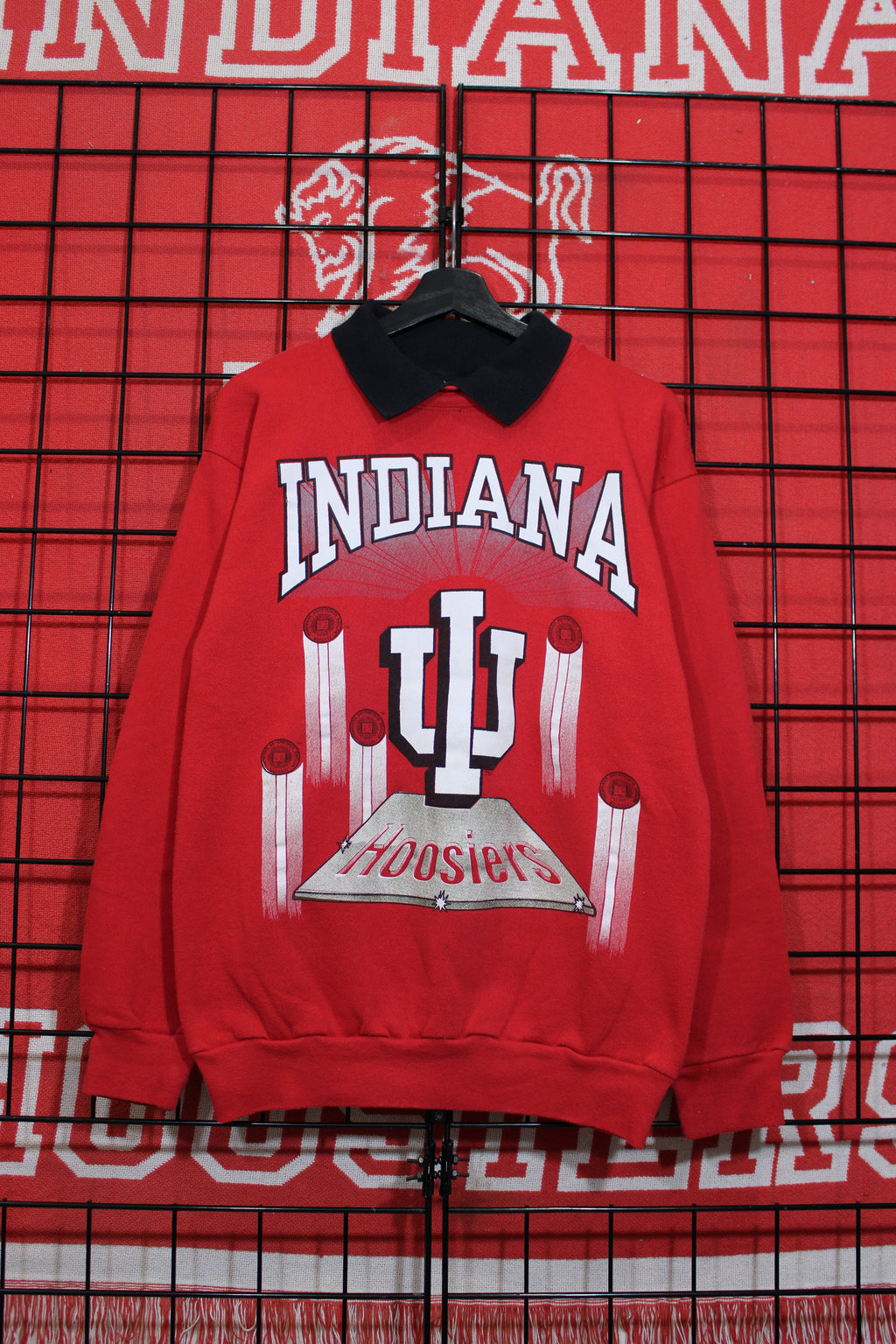 iu1026135a.jpg