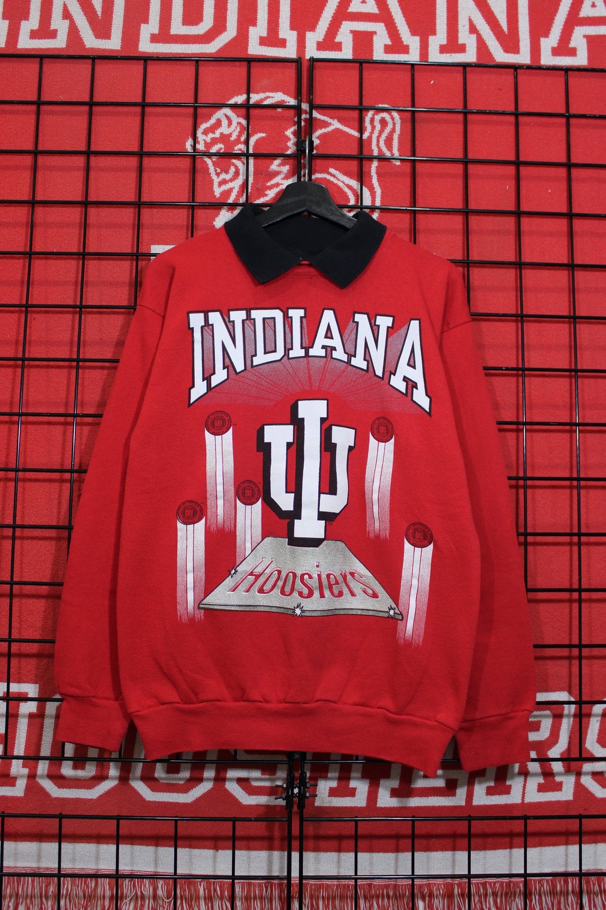 iu1026135a.jpg