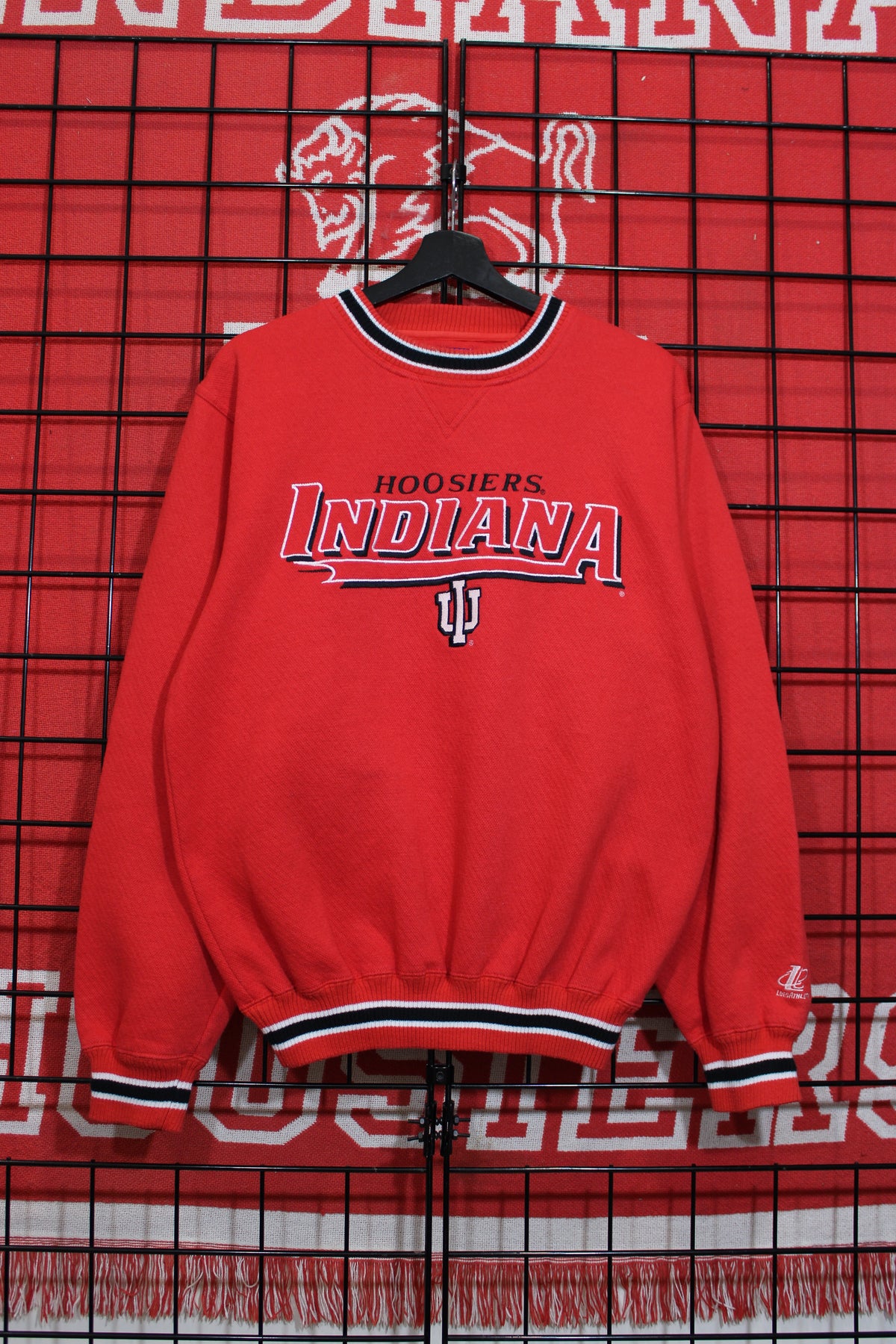 iu1026140a.jpg