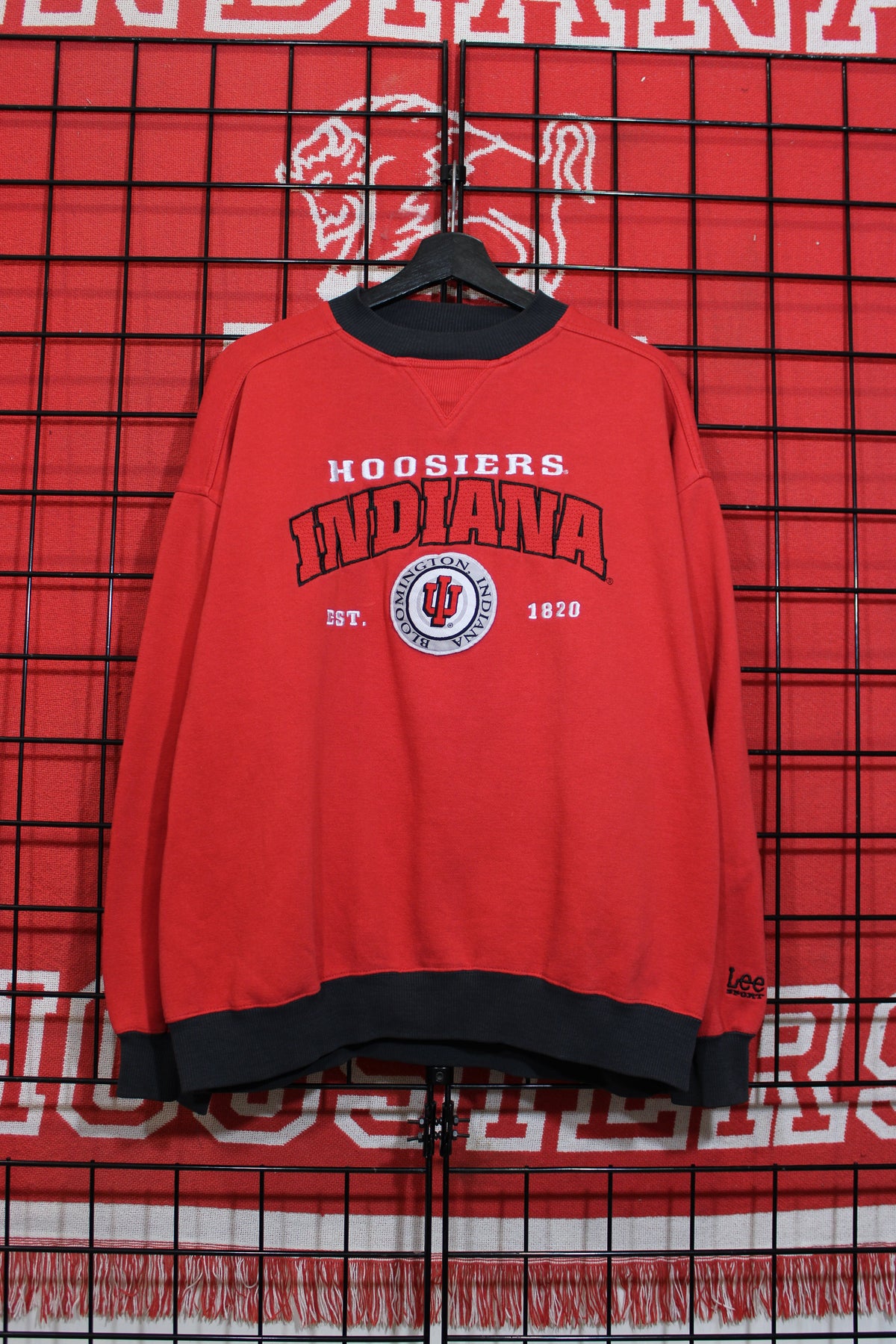 iu1026141a.jpg