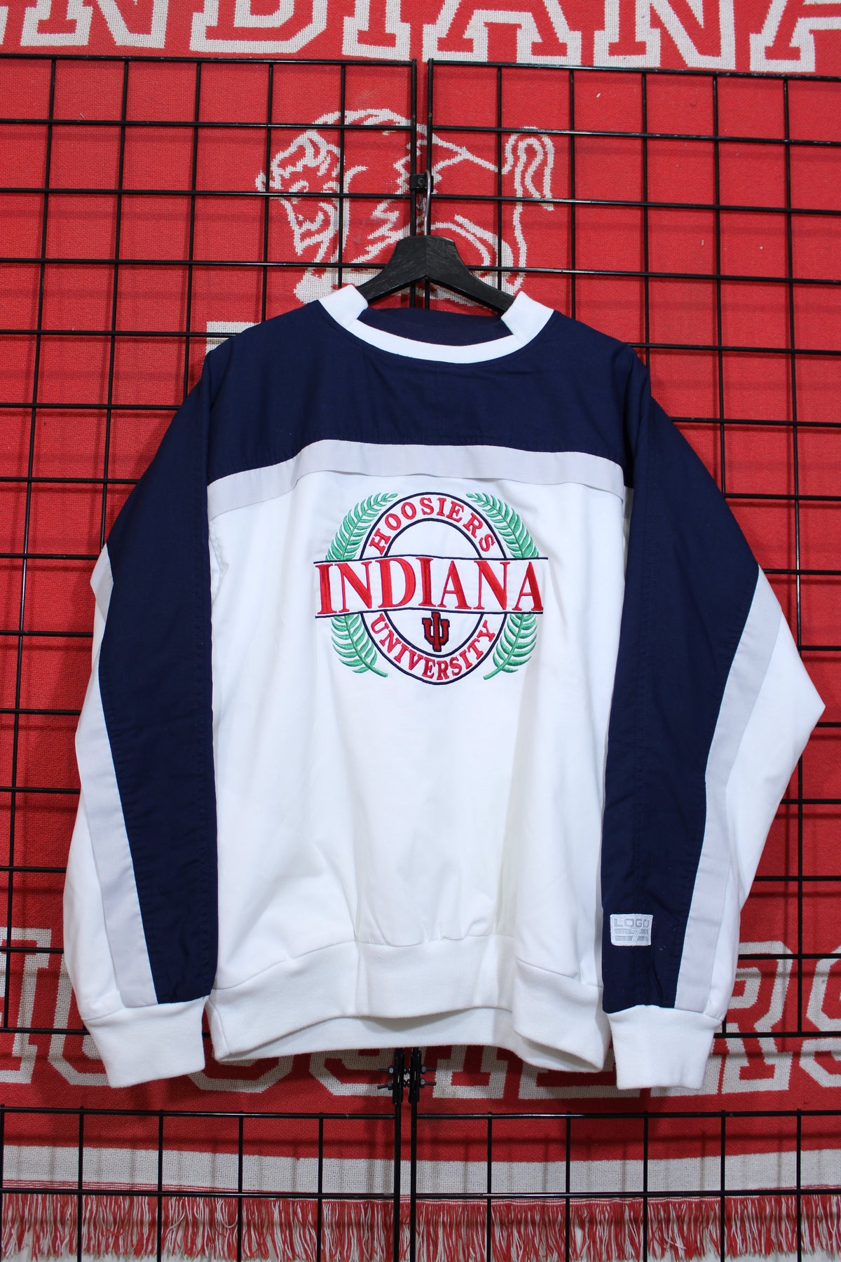iu1026153a.jpg