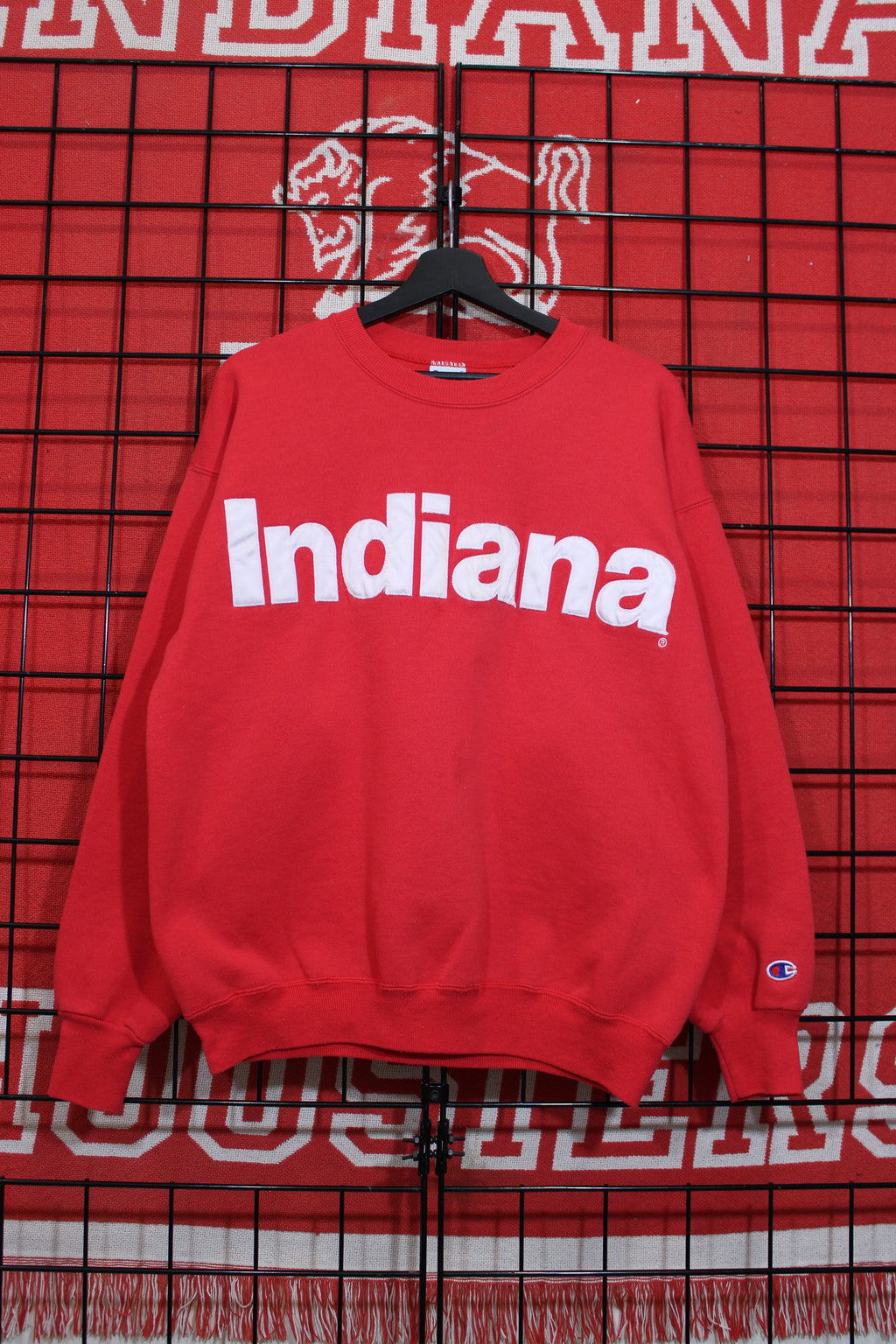iu1026154a.jpg