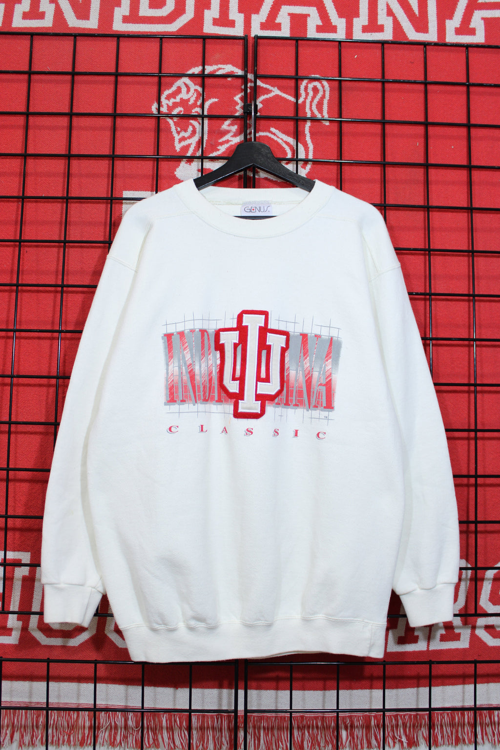 iu1026157a.jpg