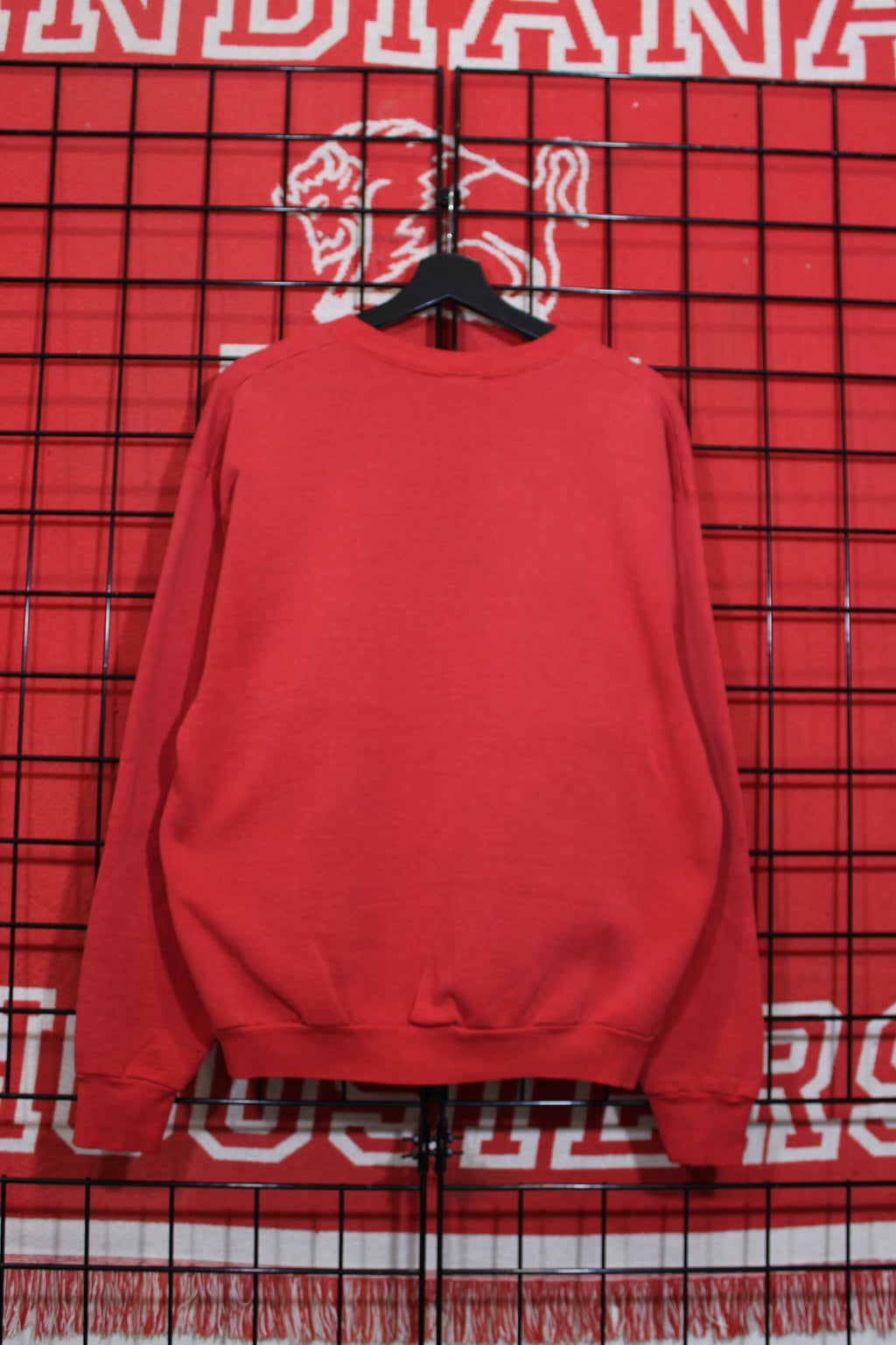 iu1026160b.jpg